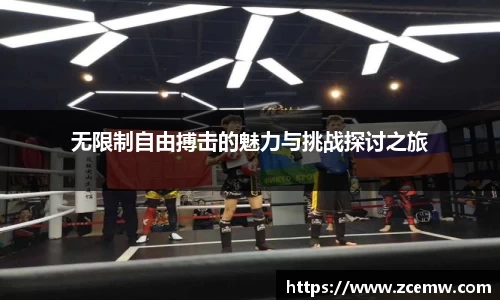 无限制自由搏击的魅力与挑战探讨之旅