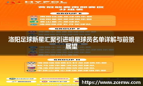 洛阳足球新星汇聚引进明星球员名单详解与前景展望